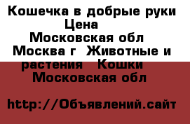Кошечка в добрые руки! › Цена ­ 10 - Московская обл., Москва г. Животные и растения » Кошки   . Московская обл.